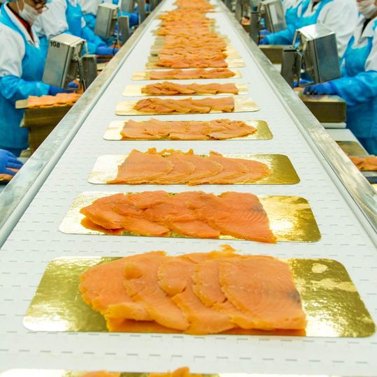 przetwórstwo ryb, Graal