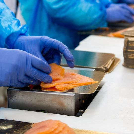 przetwórstwo ryb, Graal