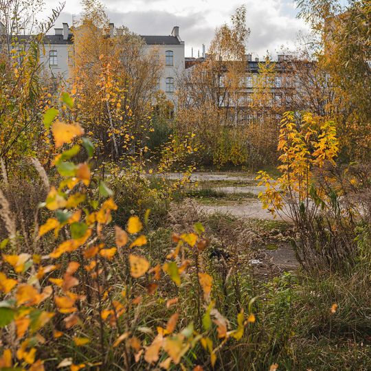 dawna Gdańska Fabryka Opakowań Blaszanych, Gdańsk 2024