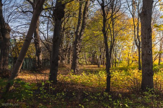 tereny po dawnym dworze migowskim, Gdańsk 2024