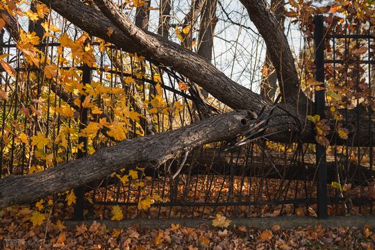 tereny po dawnym dworze migowskim, Gdańsk 2024