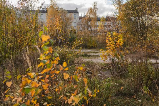 dawna Gdańska Fabryka Opakowań Blaszanych, Gdańsk 2024