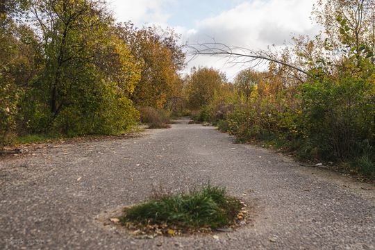 dawna Gdańska Fabryka Opakowań Blaszanych, Gdańsk 2024