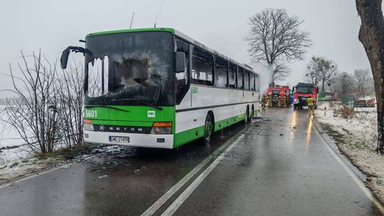 pożar autobusu, Werblinia