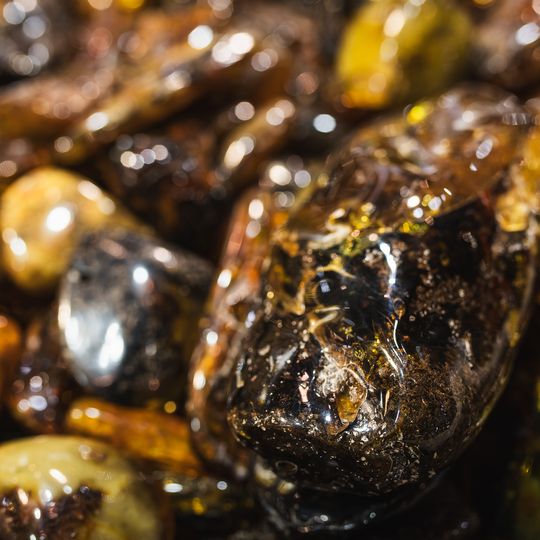 Międzynarodowe Targi Bursztynu i Biżuterii Amberif Spring 2025, AmberExpo, Gdańsk