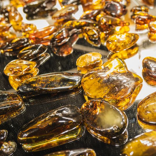 Międzynarodowe Targi Bursztynu i Biżuterii Amberif Spring 2025, AmberExpo, Gdańsk