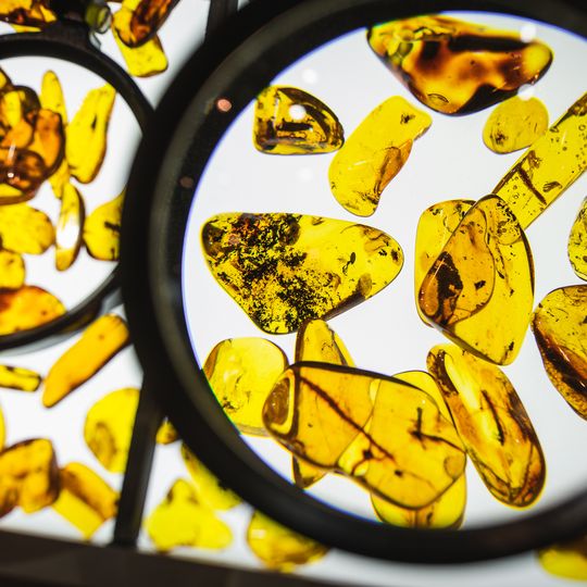 Międzynarodowe Targi Bursztynu i Biżuterii Amberif Spring 2025, AmberExpo, Gdańsk