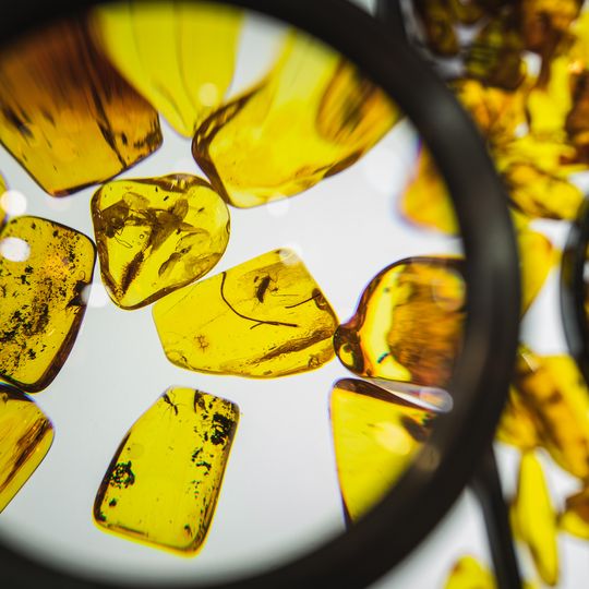 Międzynarodowe Targi Bursztynu i Biżuterii Amberif Spring 2025, AmberExpo, Gdańsk