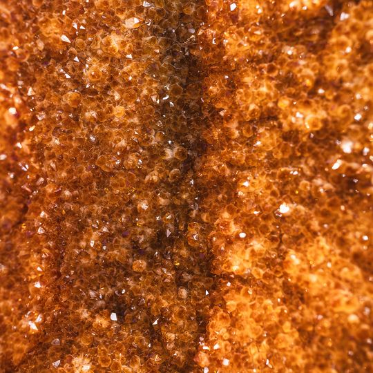 Międzynarodowe Targi Bursztynu i Biżuterii Amberif Spring 2025, AmberExpo, Gdańsk