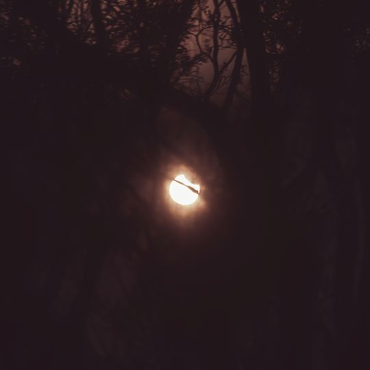 częściowe zaćmienie Słońca, Gdańsk 2025