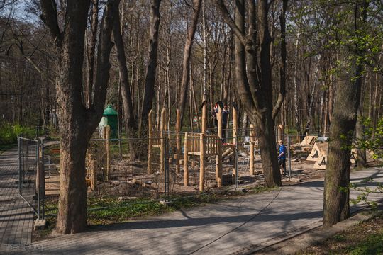 plac zabaw, domek na drzewie, Sopot 2025