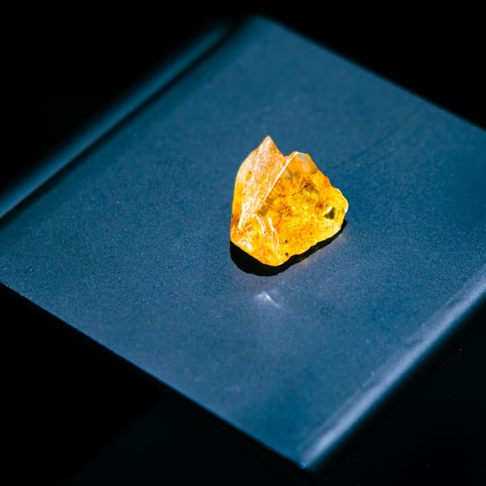 bursztyn z Gdańska leci w kosmos, konferencja prasowa