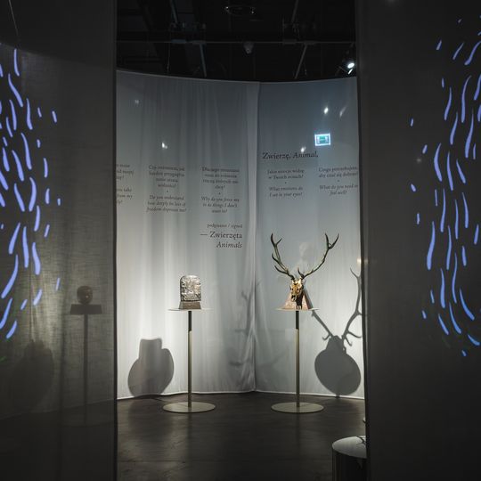 „FAUNA. Zwierzęta na wojnie i ich ludzie”, nowa wystawa w Muzeum II Wojny Światowej w Gdańsku