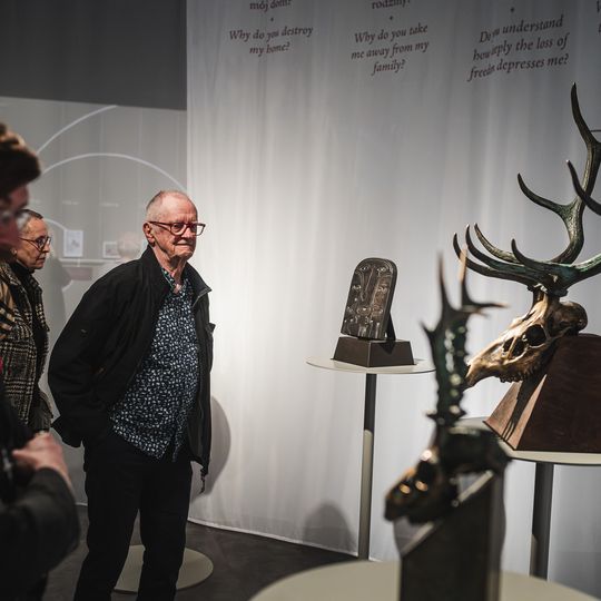 „FAUNA. Zwierzęta na wojnie i ich ludzie”, nowa wystawa w Muzeum II Wojny Światowej w Gdańsku