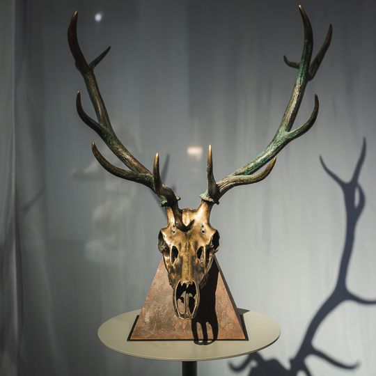 „FAUNA. Zwierzęta na wojnie i ich ludzie”, nowa wystawa w Muzeum II Wojny Światowej w Gdańsku