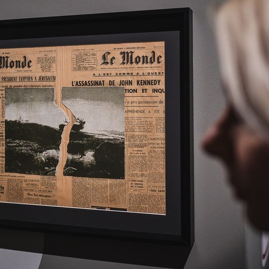 „FAUNA. Zwierzęta na wojnie i ich ludzie”, nowa wystawa w Muzeum II Wojny Światowej w Gdańsku