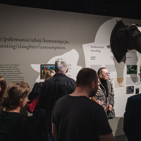 „FAUNA. Zwierzęta na wojnie i ich ludzie”, nowa wystawa w Muzeum II Wojny Światowej w Gdańsku