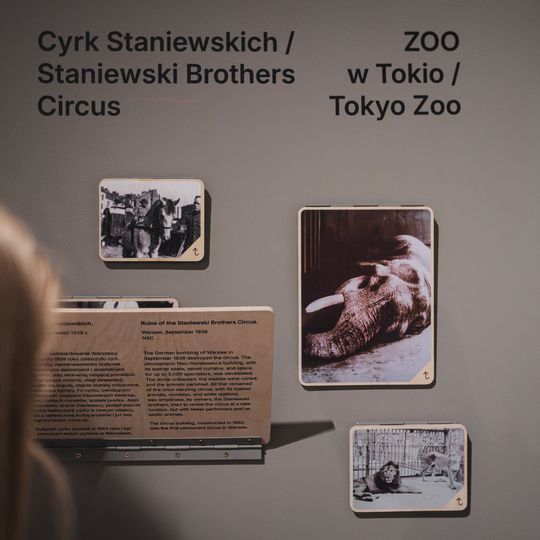 „FAUNA. Zwierzęta na wojnie i ich ludzie”, nowa wystawa w Muzeum II Wojny Światowej w Gdańsku