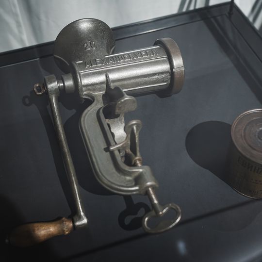 „FAUNA. Zwierzęta na wojnie i ich ludzie”, nowa wystawa w Muzeum II Wojny Światowej w Gdańsku