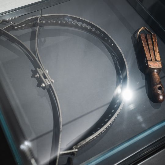 „FAUNA. Zwierzęta na wojnie i ich ludzie”, nowa wystawa w Muzeum II Wojny Światowej w Gdańsku