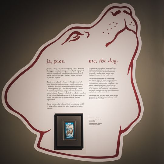 „FAUNA. Zwierzęta na wojnie i ich ludzie”, nowa wystawa w Muzeum II Wojny Światowej w Gdańsku