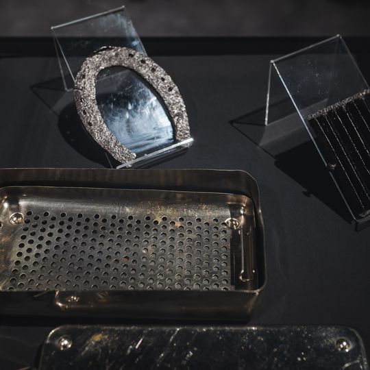 „FAUNA. Zwierzęta na wojnie i ich ludzie”, nowa wystawa w Muzeum II Wojny Światowej w Gdańsku