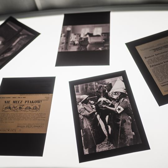 „FAUNA. Zwierzęta na wojnie i ich ludzie”, nowa wystawa w Muzeum II Wojny Światowej w Gdańsku