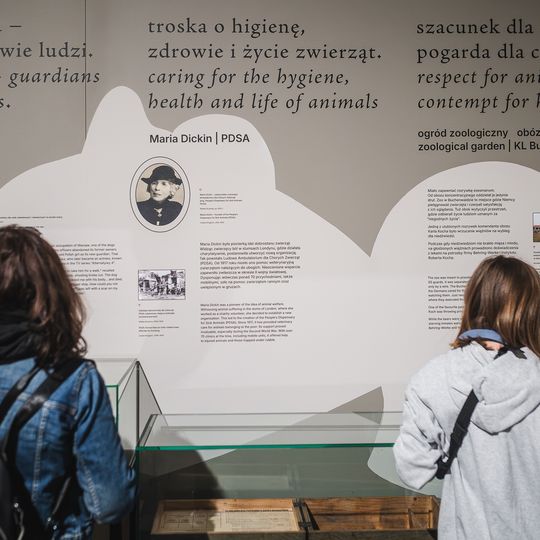 „FAUNA. Zwierzęta na wojnie i ich ludzie”, nowa wystawa w Muzeum II Wojny Światowej w Gdańsku