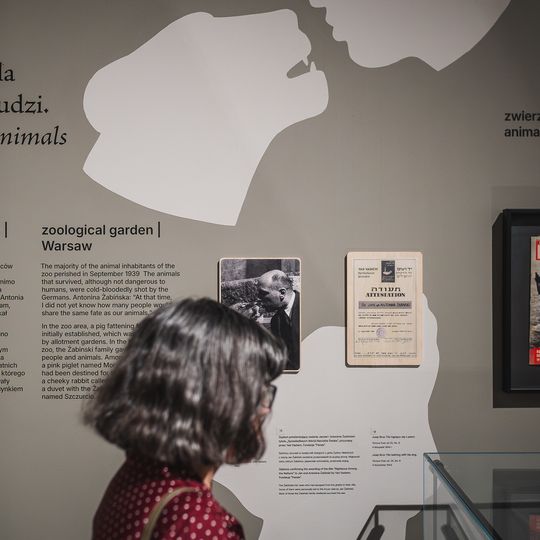 „FAUNA. Zwierzęta na wojnie i ich ludzie”, nowa wystawa w Muzeum II Wojny Światowej w Gdańsku