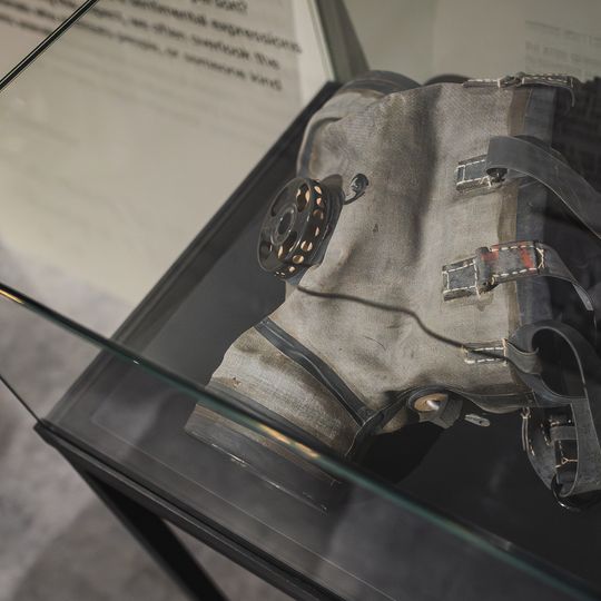 „FAUNA. Zwierzęta na wojnie i ich ludzie”, nowa wystawa w Muzeum II Wojny Światowej w Gdańsku