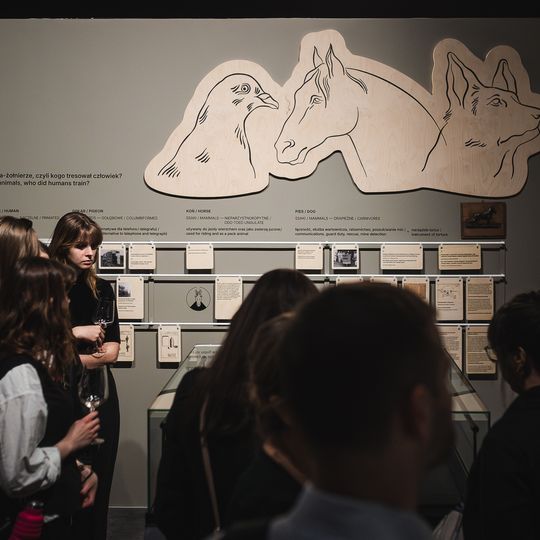 „FAUNA. Zwierzęta na wojnie i ich ludzie”, nowa wystawa w Muzeum II Wojny Światowej w Gdańsku