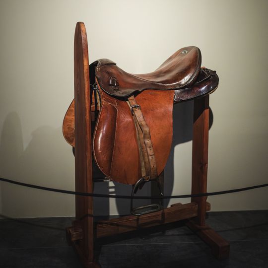 „FAUNA. Zwierzęta na wojnie i ich ludzie”, nowa wystawa w Muzeum II Wojny Światowej w Gdańsku