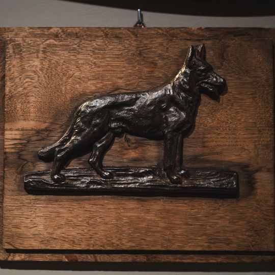 „FAUNA. Zwierzęta na wojnie i ich ludzie”, nowa wystawa w Muzeum II Wojny Światowej w Gdańsku