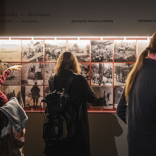 „FAUNA. Zwierzęta na wojnie i ich ludzie”, nowa wystawa w Muzeum II Wojny Światowej w Gdańsku