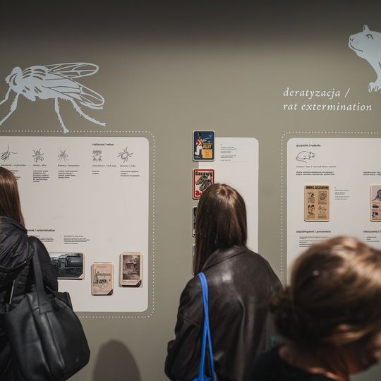 „FAUNA. Zwierzęta na wojnie i ich ludzie”, nowa wystawa w Muzeum II Wojny Światowej w Gdańsku