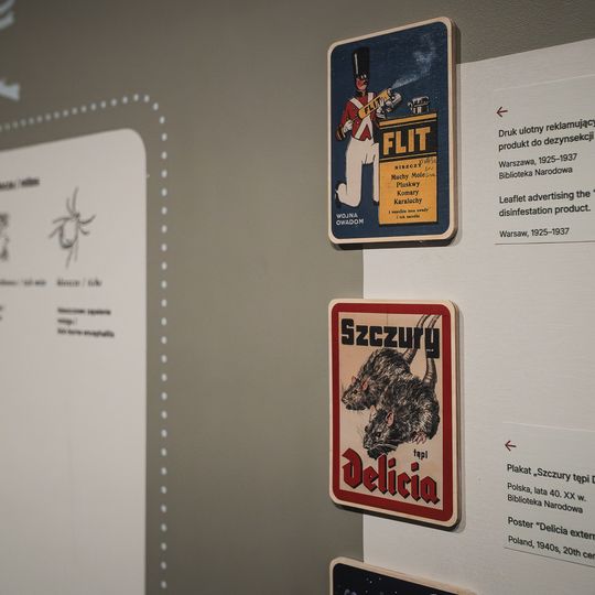 „FAUNA. Zwierzęta na wojnie i ich ludzie”, nowa wystawa w Muzeum II Wojny Światowej w Gdańsku