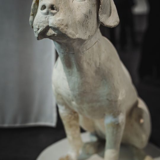 „FAUNA. Zwierzęta na wojnie i ich ludzie”, nowa wystawa w Muzeum II Wojny Światowej w Gdańsku