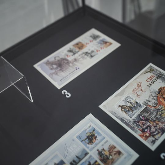 „FAUNA. Zwierzęta na wojnie i ich ludzie”, nowa wystawa w Muzeum II Wojny Światowej w Gdańsku