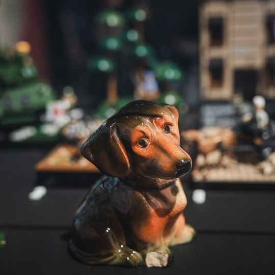 „FAUNA. Zwierzęta na wojnie i ich ludzie”, nowa wystawa w Muzeum II Wojny Światowej w Gdańsku