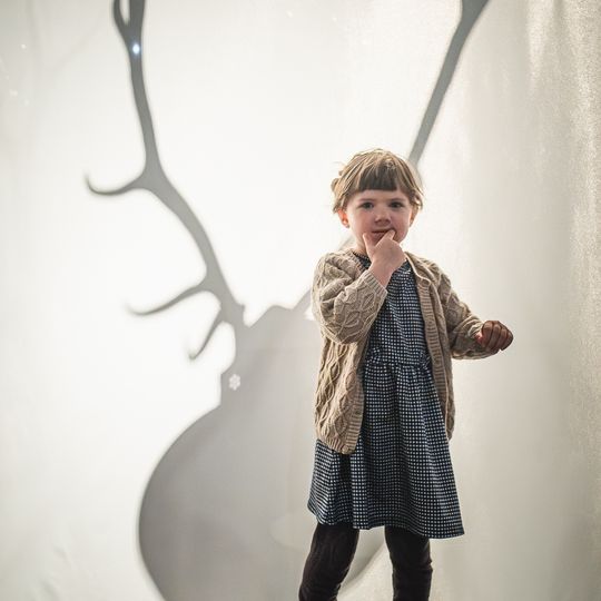 „FAUNA. Zwierzęta na wojnie i ich ludzie”, nowa wystawa w Muzeum II Wojny Światowej w Gdańsku