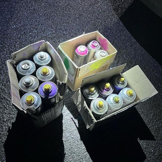 kontrola pseudokibiców, którzy chcieli wykonać nielegalne graffiti w Pelplinie