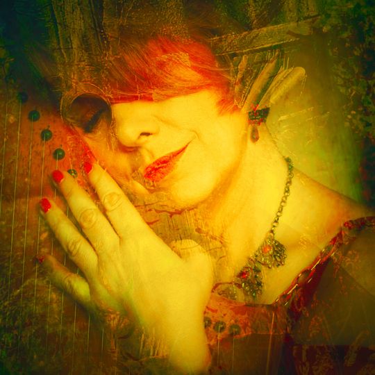 Stefan Chwin w skrzydłach motyla. Wernisaż w Domu Zarazy