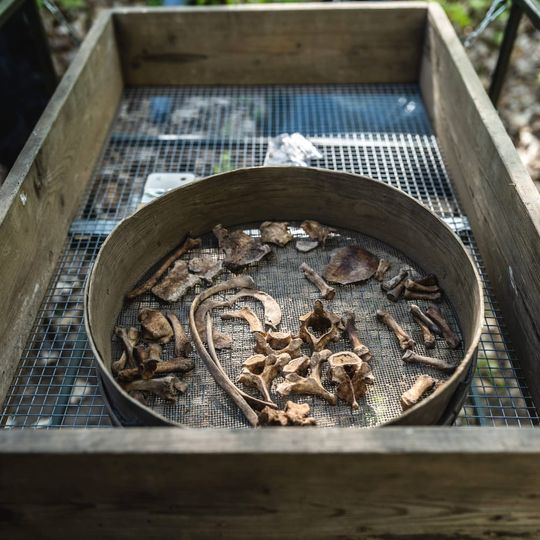 wykopaliska w Lesie Szpęgawskim