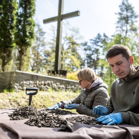 wykopaliska w Lesie Szpęgawskim