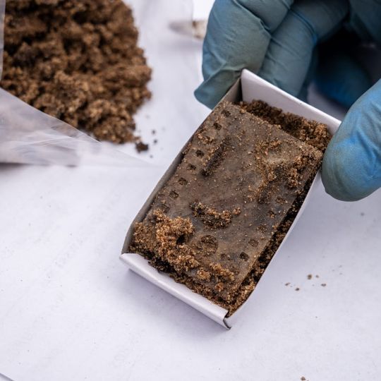 wykopaliska w Lesie Szpęgawskim