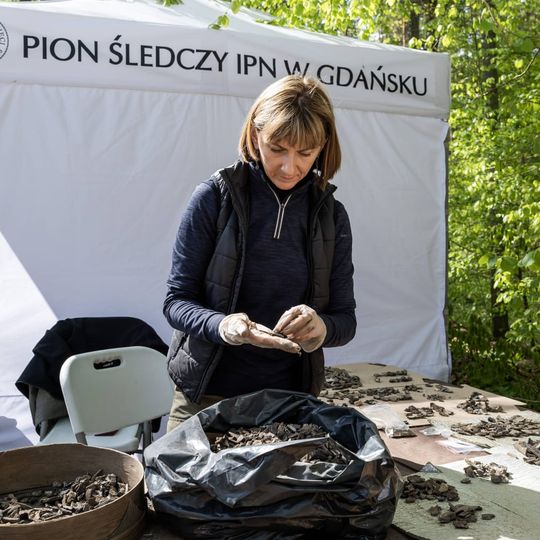 wykopaliska w Lesie Szpęgawskim