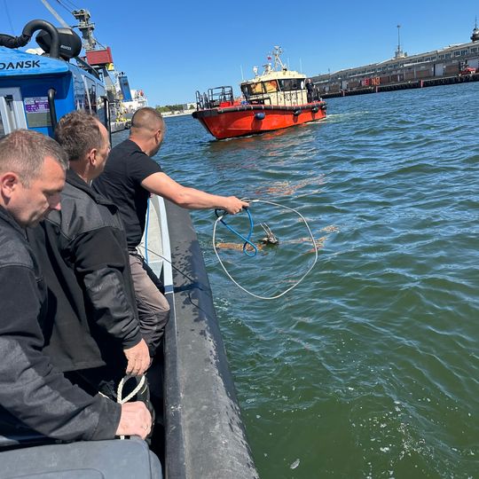 Kolejny jelonek uratowany przez załogę Pioruna z Portu Gdańsk