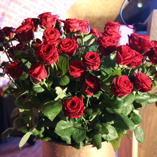 konkurs o Laur Czerwonej Róży 2025, gala rozdania nagród