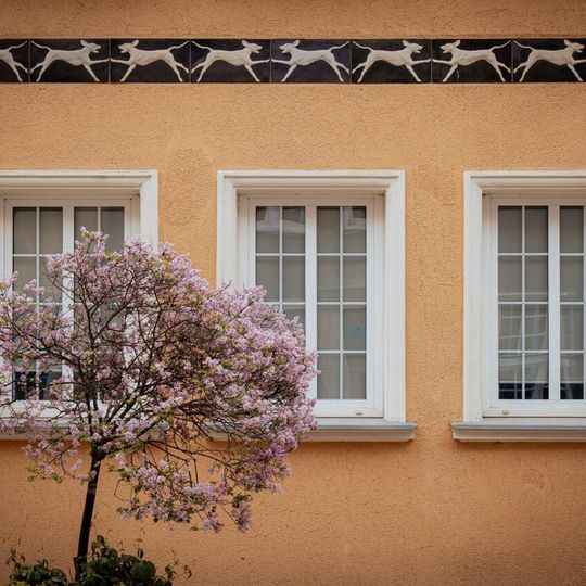 „Ogarnij Fahrenheita” 2025, urodziny Gabriela Fahrenheita w Gdańsku