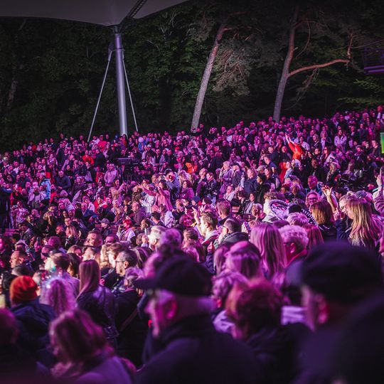 Polsat Hit Festiwal 2025, dzień I, publiczność